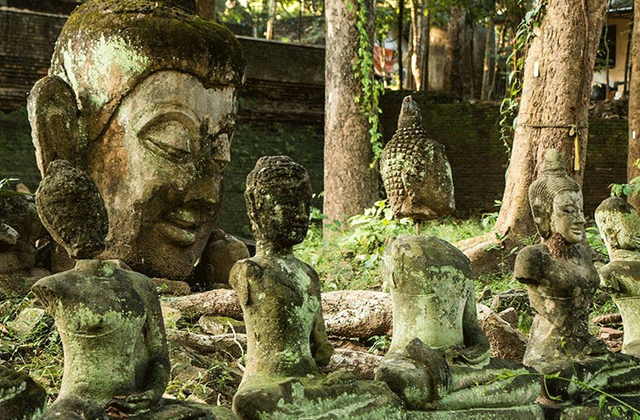 밤에 만나는 치앙마이 도이수텝 & 왓우몽 사원 야경 투어