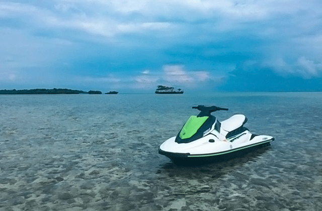 세부 워터독 제트스키 & 스노클링 투어