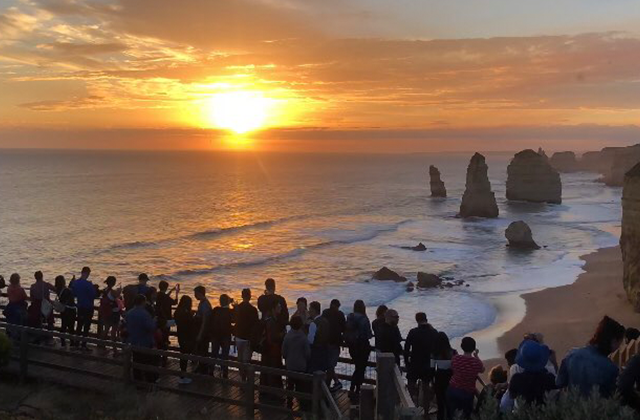 [땡스투어] 그레이트 오션로드 + 퍼핑빌리, 펭귄행진, 야생왈라비 투어