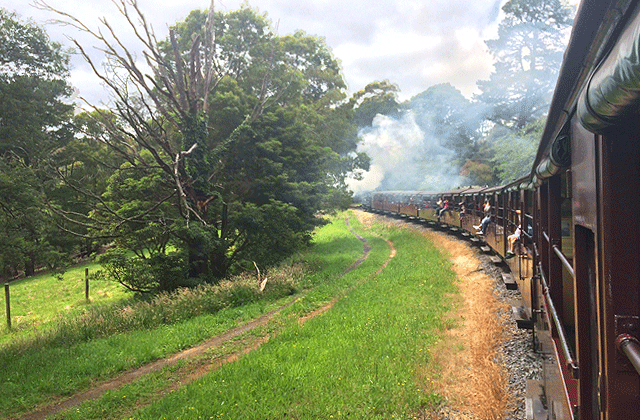 [땡스투어] 멜버른 근교 퍼핑빌리 증기기관차 투어