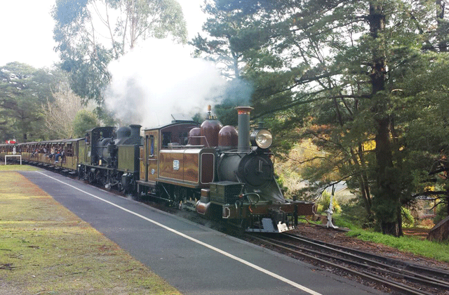 [땡스투어] 멜버른 근교 퍼핑빌리 증기기관차 투어
