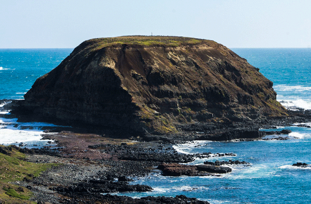 [땡스투어] 멜버른 필립 아일랜드 펭귄 퍼레이드 투어