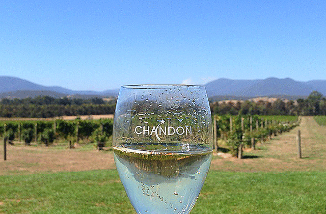 [오지나라] 야라밸리 와이너리 단독투어