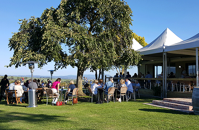 [오지나라] 야라밸리 와이너리 단독투어