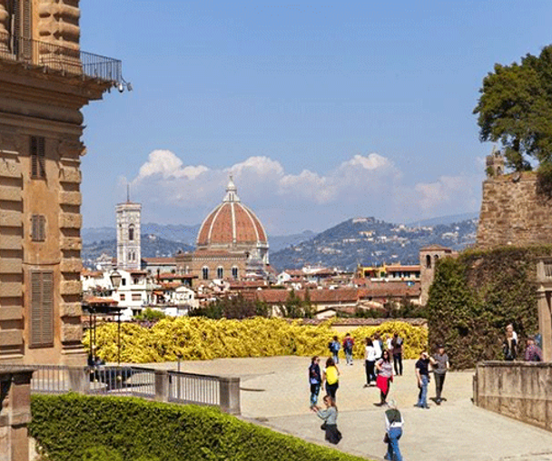 activity_detail_image