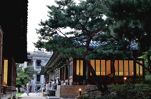 서울 종로 덕수궁 별빛 달빛 야경 투어 with 새싹여행