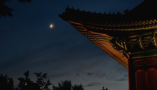 서울 종로 덕수궁 별빛 달빛 야경 투어 with 새싹여행