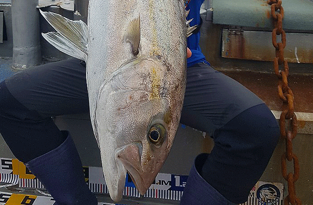 제주 캡틴호 쇠소깍 배낚시 체험