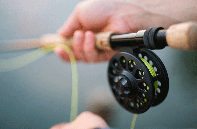 제주 서귀포 천일호 배낚시 체험