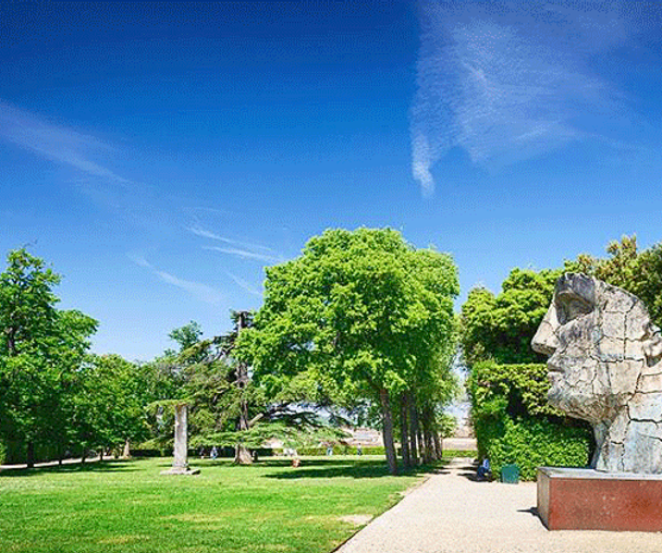 activity_detail_image