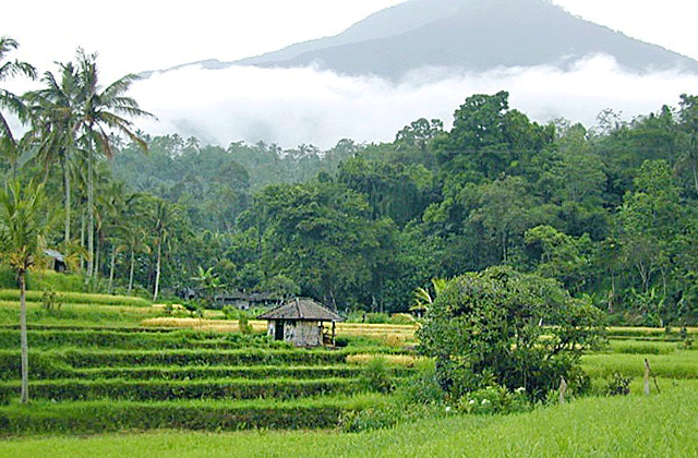 발리 자띨루이 바투카루 산 자연 투어