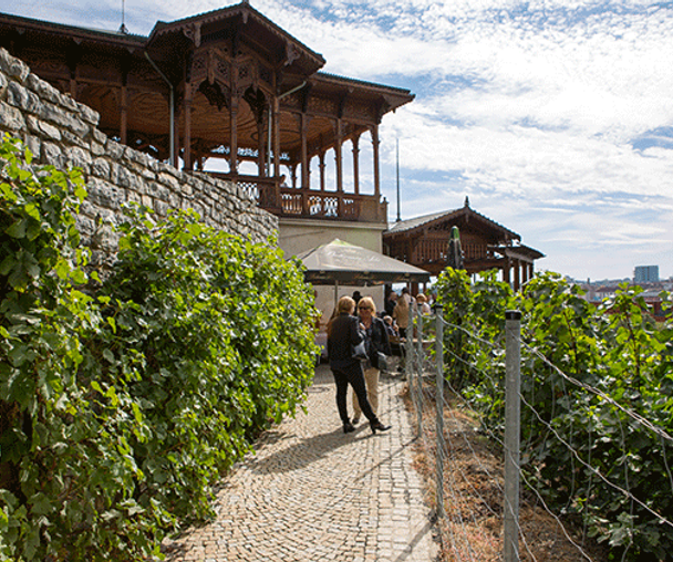 activity_detail_image