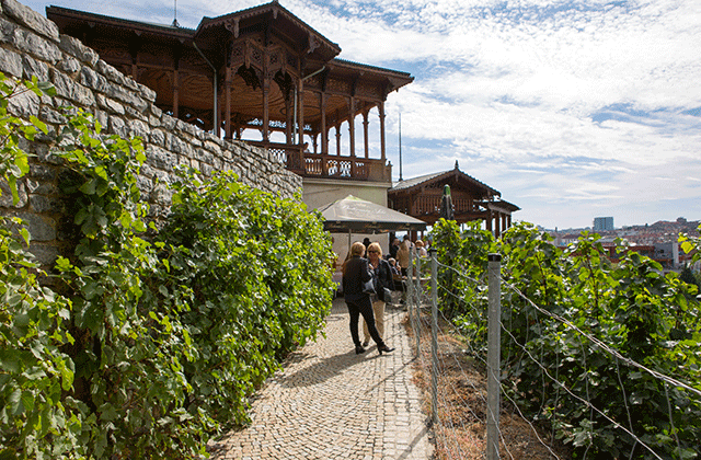 프라하 와이너리 투어 - 짠내투어도 반한 그 곳!