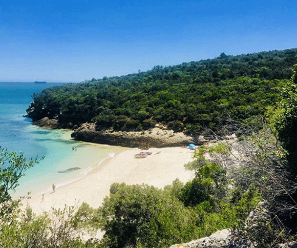 activity_detail_image