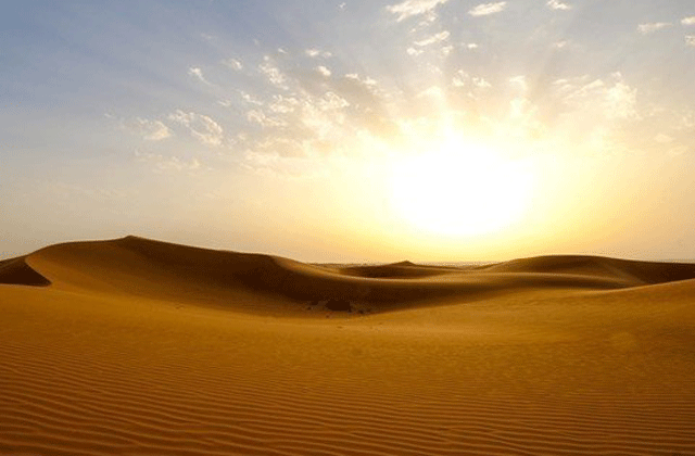 Dubai: Authentic Desert Safari Tour