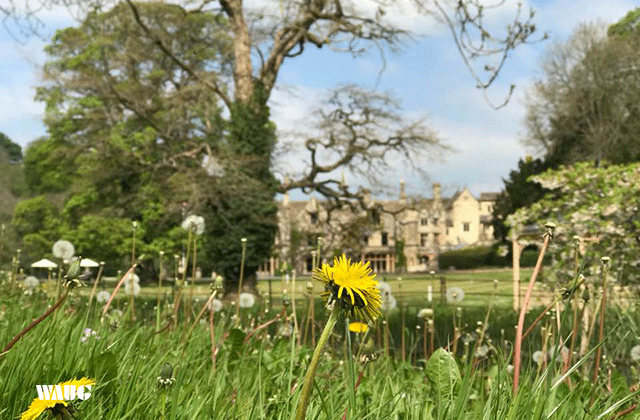[독점할인][런던소풍] 바스 + 캐슬쿰 + 스톤헨지 투어 (김밥 제공)