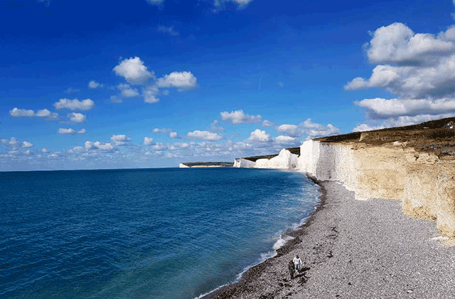 [런던소풍] 매일 출발! 대자연의 맛! 세븐시스터즈 + 브라이튼에서 남기는 인생 사진 투어