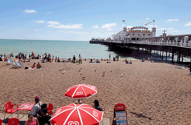[런던소풍] 매일 출발! 대자연의 맛! 세븐시스터즈 + 브라이튼에서 남기는 인생 사진 투어