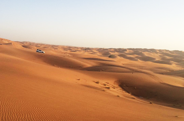 두바이 사막 사파리 지프 단독 투어 - 일출 / 오전 / 오후 선택 가능