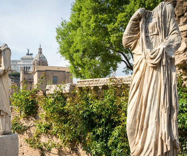 activity_detail_image