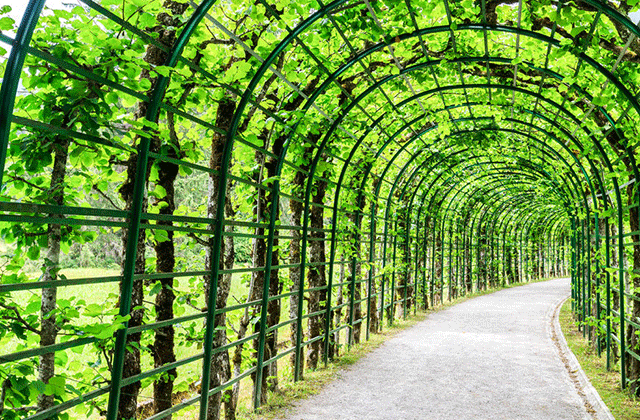 노이슈반슈타인 성 & 린더호프 궁전 일일 투어 (뮌헨 출발)