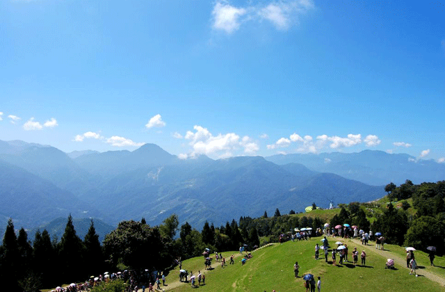 南投·清境農場チケット