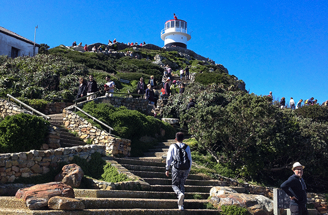 케이프타운 희망봉 일일 투어