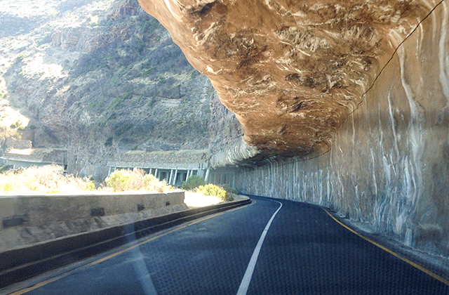 케이프타운 희망봉 일일 투어