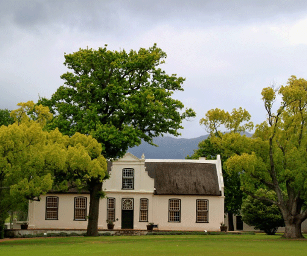 activity_detail_image