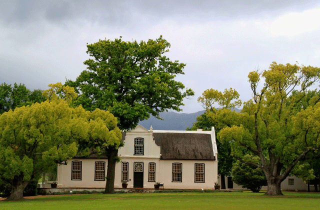 케이프타운 와이너리 투어
