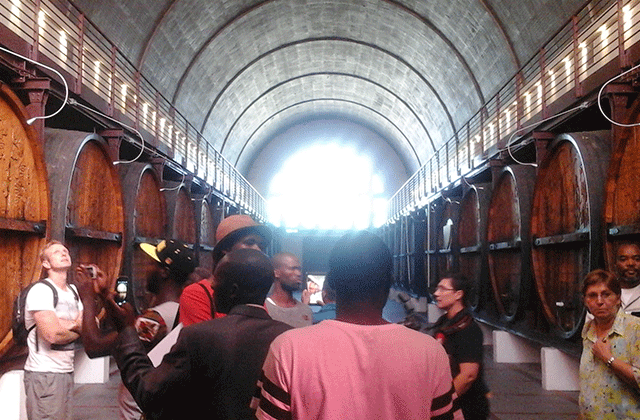 케이프타운 와이너리 투어