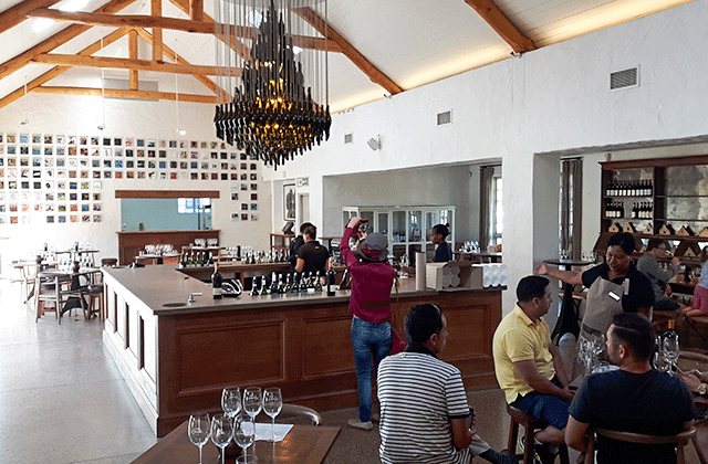 케이프타운 와이너리 투어