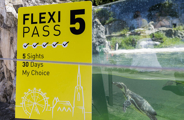 비엔나 플렉시 패스 2-5일권