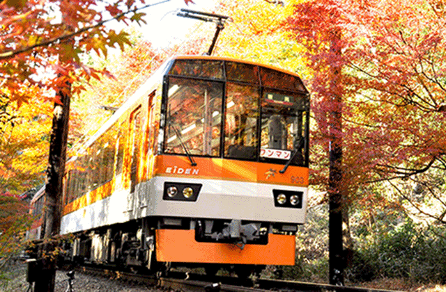 Osaka, Kyoto Keihan Pass 1-day + Eizan Railway Pass