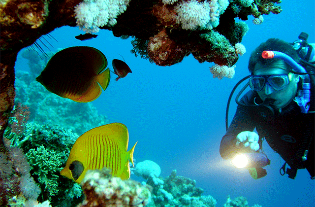 Guam Scuba Diving by Charles Marina sports