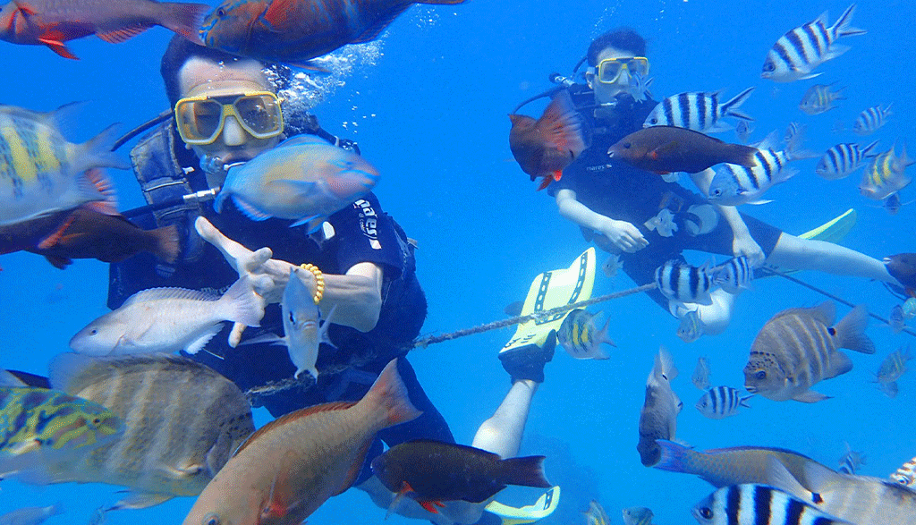 Guam Scuba Diving by Charles Marina sports