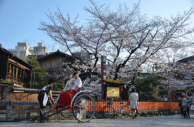 JR 서일본 산요 산인 북부 큐슈 패스 7일권