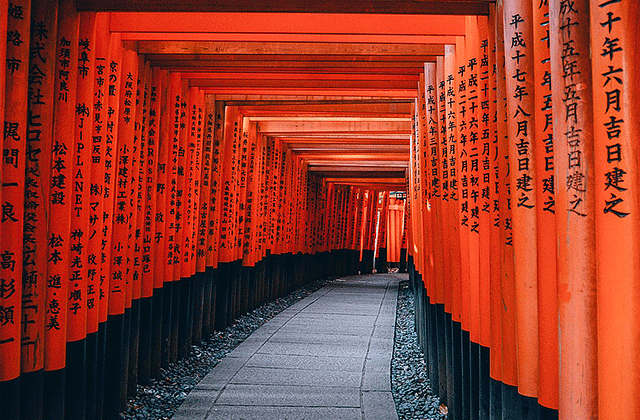 JR 서일본 산요 산인 북부 큐슈 패스 7일권