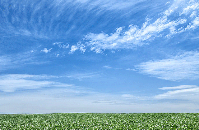 JR 도호쿠 미나미 홋카이도 레일 패스 6일권