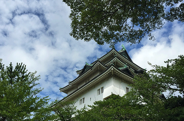 JR 서일본 이세 구마노 와카야마 투어리스트 패스 5일권