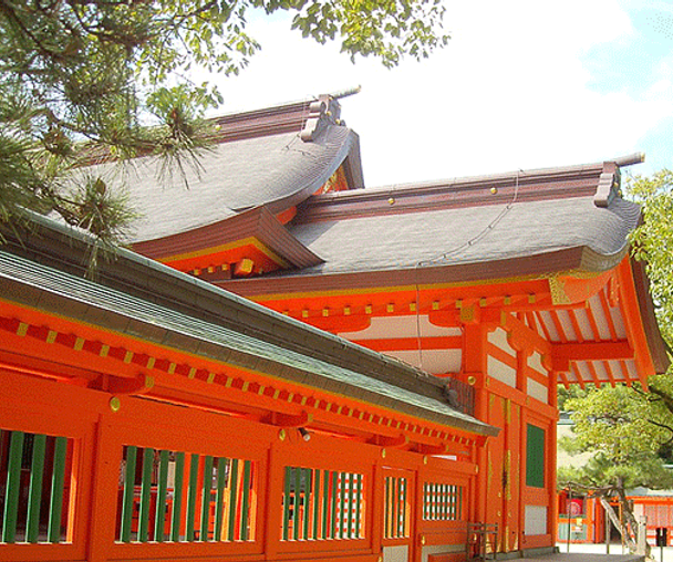 activity_detail_image