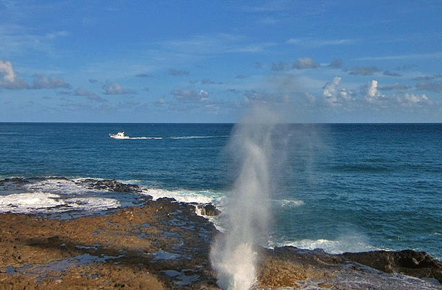 하와이 정원의 섬 카우아이 일일 투어 (한국인 가이드 진행, 항공권 포함)