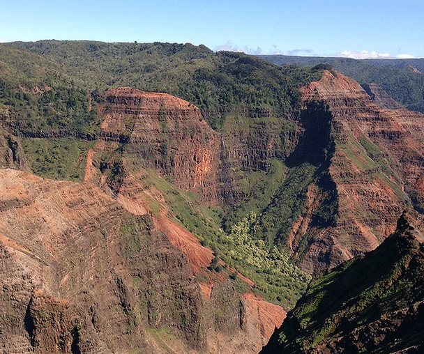 activity_detail_image