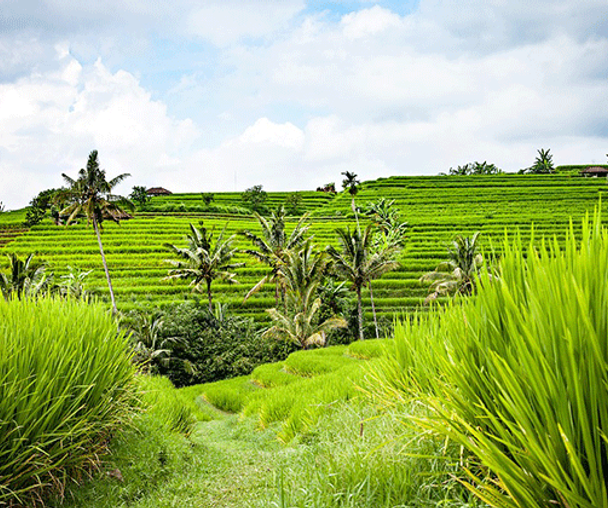 activity_detail_image