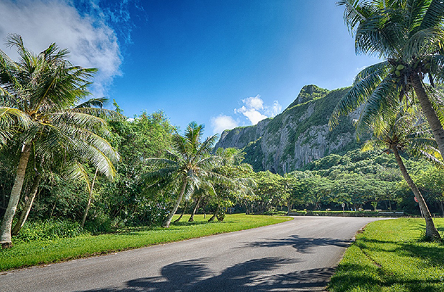 사이판 8080 황가이드의 정글 투어