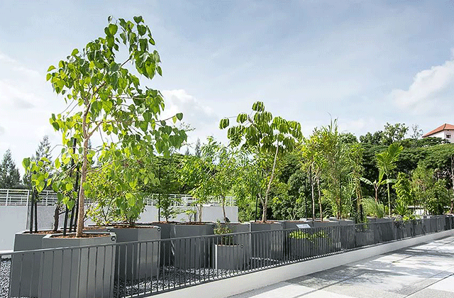 싱가포르 국립 대학 재학생의 캠퍼스 & 자연사 박물관 투어