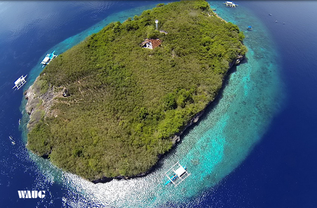 세부 캐녀닝 & 모알보알 페스카도르섬 스노클링 단독 투어