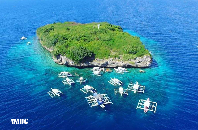 세부 캐녀닝 & 모알보알 페스카도르섬 스노클링 단독 투어