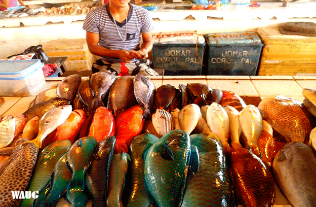 Palawan: Coron Town City Tour