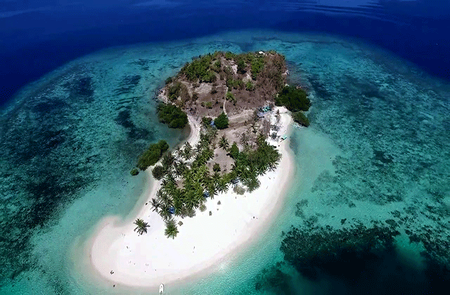 Palawan: Coron Coral Garden & Shipwreck Hopping Tour